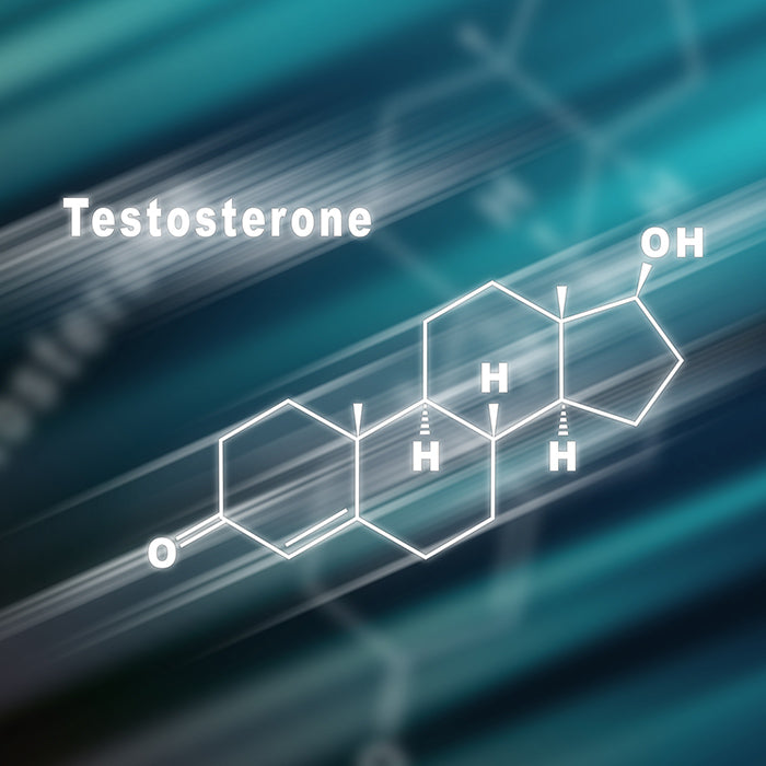 Stimolatori del testosterone, quali sono e come funzionano