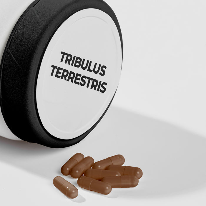 Articolo di Blog: Tribulus Terrestris, cos'è e a cosa serve