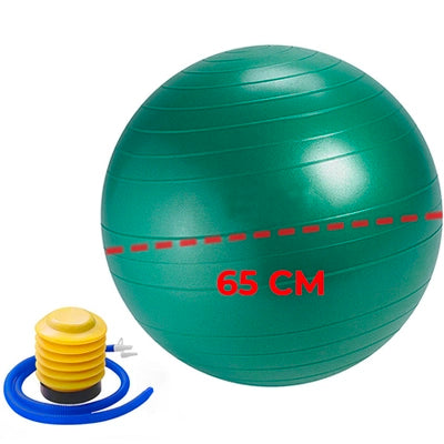 Palla da Ginnastica Gymnastic ball + pump in vendita su dietaesport.com